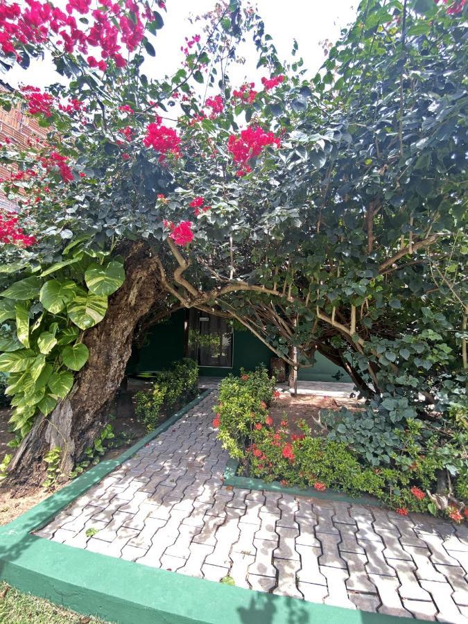 Free! Hostel Vila Praia de Pipa Exterior photo
